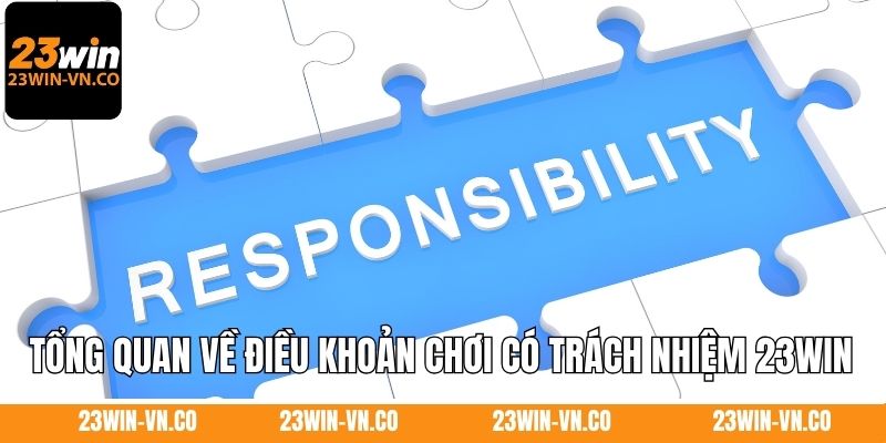 Chơi Có Trách Nhiệm 1 Tổng quan về điều khoản chơi có trách nhiệm 23Win