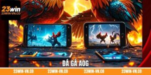 Đá Gà AOG – Trải Nghiệm Giải Trí Đỉnh Cao Tại 23WIN