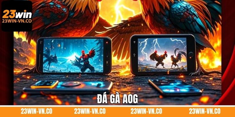 Đá Gà AOG – Trải Nghiệm Giải Trí Đỉnh Cao Tại 23WIN