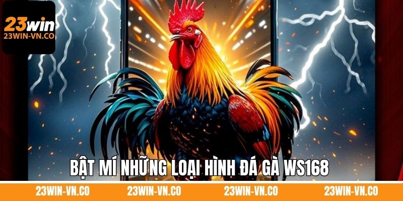 Bật mí những loại hình đá gà WS168 được ưa chuộng hàng đầu