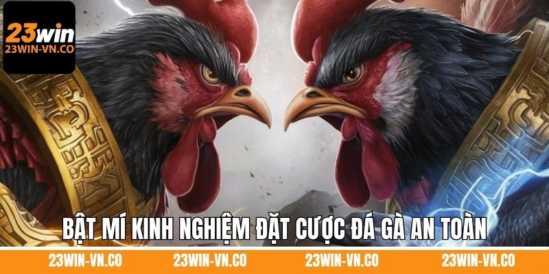 Bật mí kinh nghiệm đặt cược đá gà an toàn cho anh em