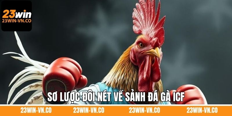 Sơ lược đôi nét về sảnh đá gà ICF