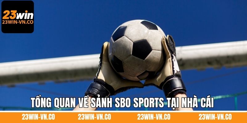 Tổng quan về sảnh SBO Sports tại nhà cái 