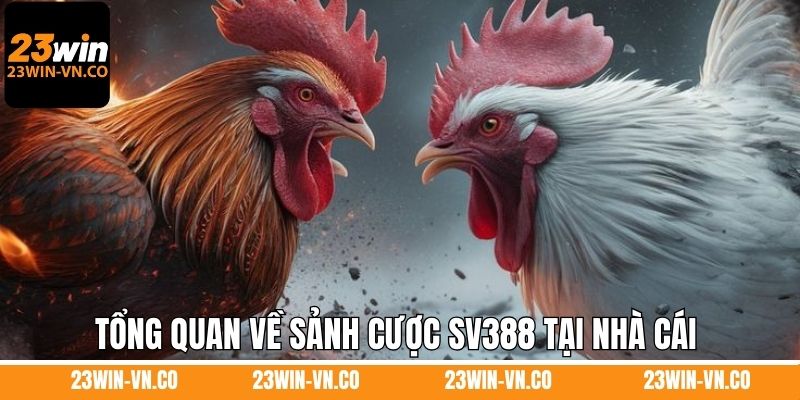 Tổng quan về sảnh cược SV388 tại nhà cái 