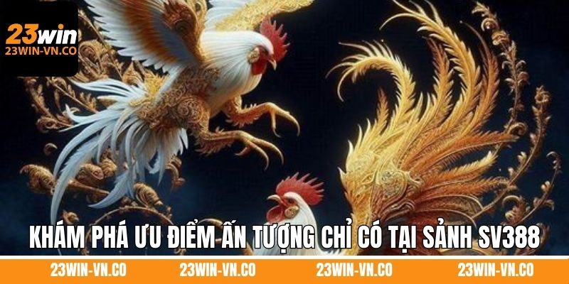 Khám phá ưu điểm ấn tượng chỉ có tại sảnh SV388
