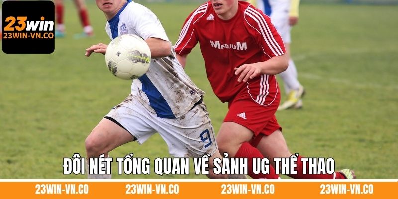 Đôi nét tổng quan về sảnh UG thể thao